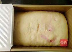 手工三色吐司的做法图解24