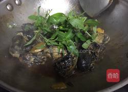 三杯鸡的做法图解7