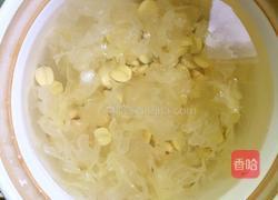 哈密瓜糖水的做法图解6