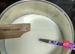 自制原味酸奶的做法图解3