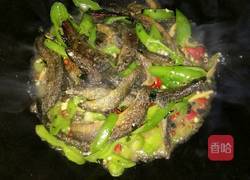 煎泥鳅的做法图解4