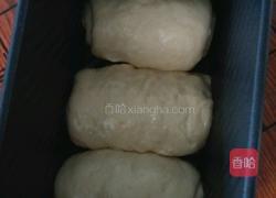 葡萄干原味土司的做法图解6