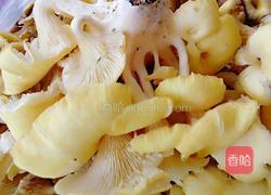 榆黄菇炒鸡蛋的做法图解1