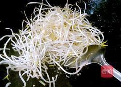 绿豆芽炒肉丝的做法图解9