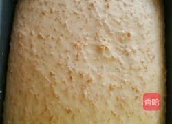 全麦吐司的做法图解3