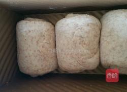 全麦吐司的做法图解6