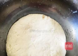 西葫芦火腿鸡蛋蒸饺的做法图解4