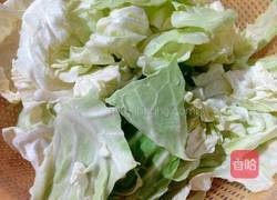 蚝油卷心菜的做法图解1