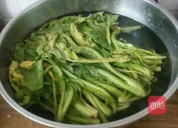 水腌菜的做法图解2