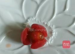 红梅傲雪的做法图解9