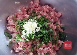 开口烧麦～胡萝卜木耳鲜肉馅的做法图解6