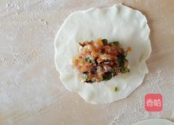 开口烧麦～胡萝卜木耳鲜肉馅的做法图解13