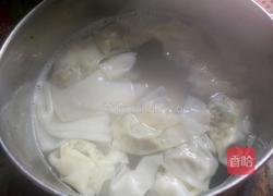 自制云吞(内附云吞包法)的做法图解8