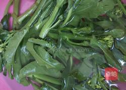 蒜蓉菜心的做法图解1