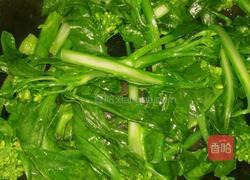 蒜蓉菜心的做法图解5