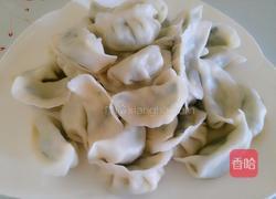 韭菜鸡蛋馅饺子的做法图解25