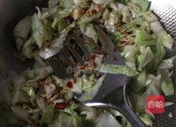 香辣卷心菜的做法图解6