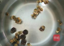 桂圆菊花茶的做法图解4