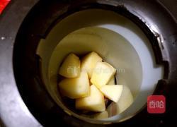 西瓜苹果汁的做法图解4