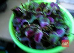 蒜蓉红苋菜的做法图解1