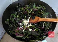 蒜蓉红苋菜的做法图解5