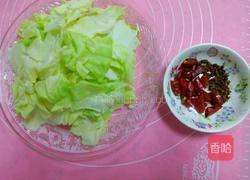 蚝油卷心菜的做法图解2