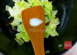 蚝油卷心菜的做法图解7