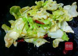 蚝油卷心菜的做法图解9