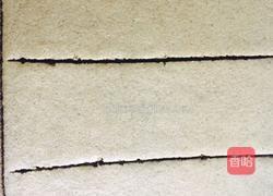 抹茶蛋糕的做法图解11