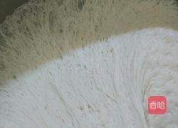 豆沙馅包子的做法图解6