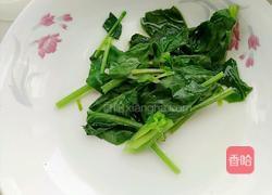 凉拌绿豆芽菠菜粉丝的做法图解5