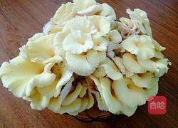 榆黄菇猪肉饺子的做法图解1