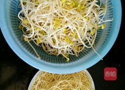 凉面（最初的味道）川味的做法图解1