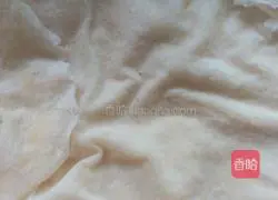 油炸春卷的做法图解2