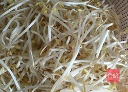 绿豆芽炒辣椒的做法图解2