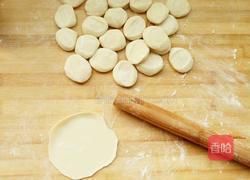 猪肉南瓜水饺的做法图解8