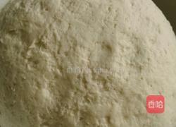 猪肉卷心菜包子的做法图解1