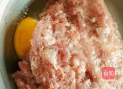 猪肉卷心菜包子的做法图解4