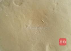 猪肉卷心菜包子的做法图解12