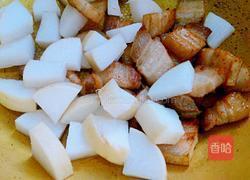 红烧肉烧白萝卜的做法图解8