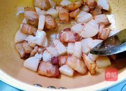红烧肉烧白萝卜的做法图解10