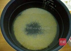 小米淮山咸骨粥的做法图解4