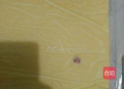 虎皮蛋糕卷的做法图解14