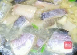 大蒜烧鲢鱼的做法图解2
