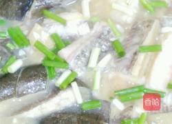大蒜烧鲢鱼的做法图解3