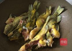 黄骨鱼番茄汤的做法图解4