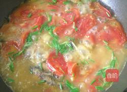 黄骨鱼番茄汤的做法图解8