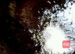 糖醋鱼片的做法图解8