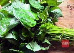 蒜蓉红薯藤的做法图解1