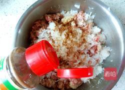 白萝卜丝豆渣肉丸子的做法图解8